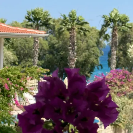 Idil Apart-datca Datça